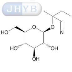 İ}